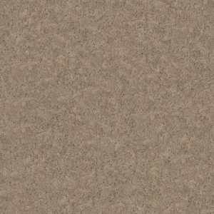 monte-14_MONTE_14_BASE