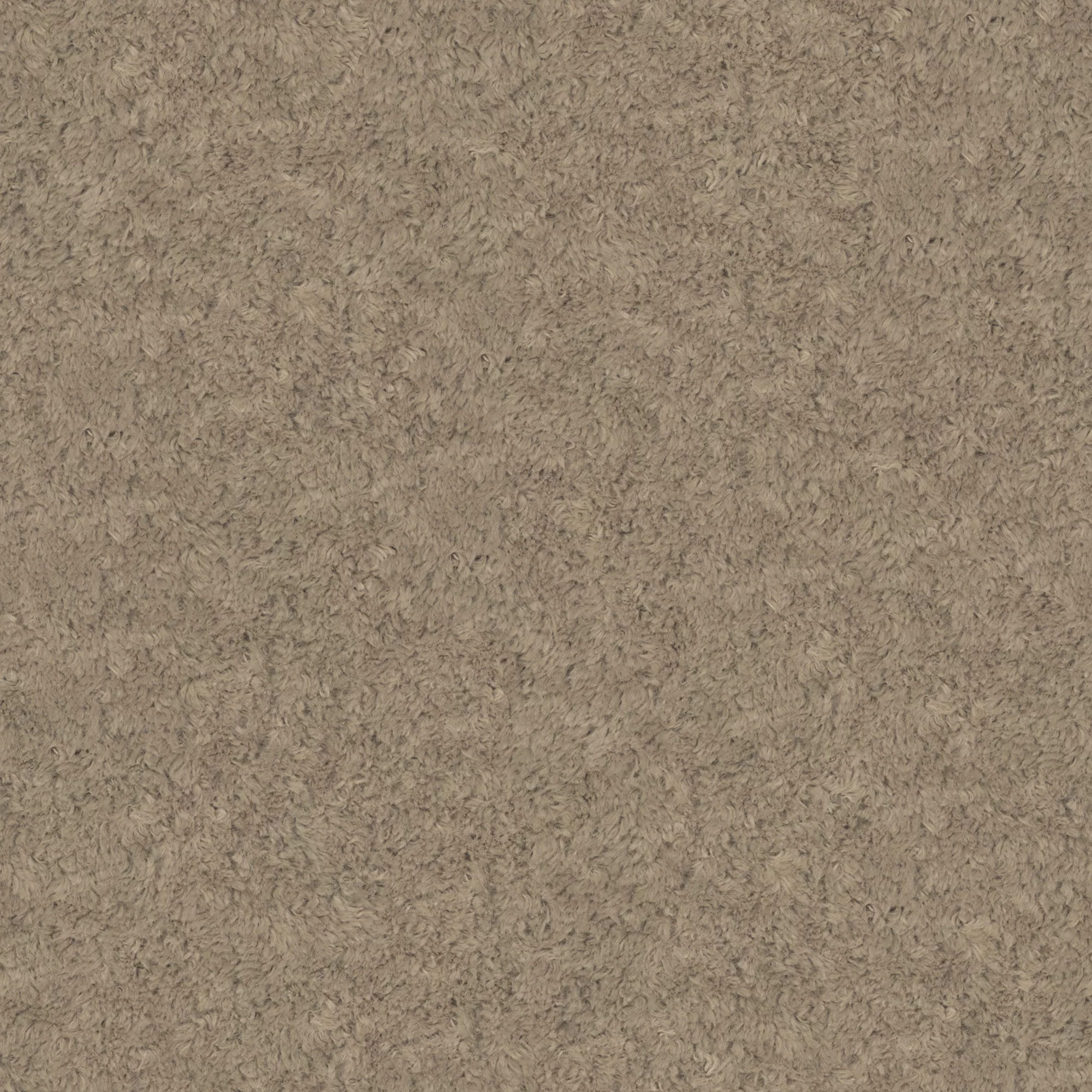 monte-14_MONTE_14_BASE