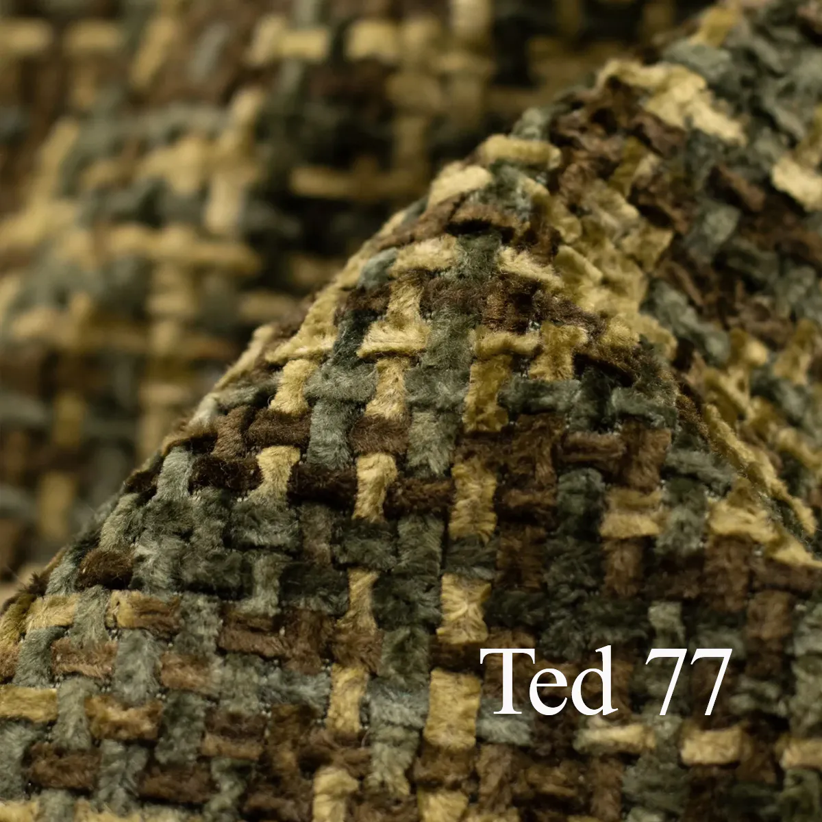 stoff-ted-77