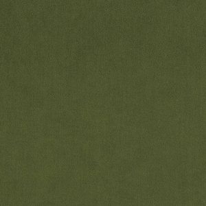 kff-stoff-seven-turtle-88-hr